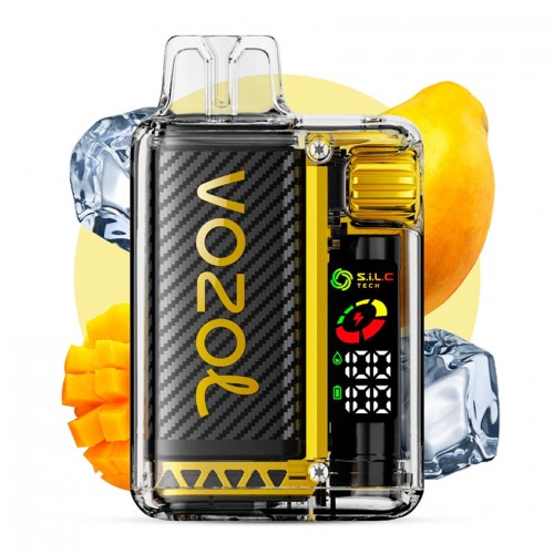 Vozol Vista 20000 Mango Ice